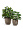Кашпо TREEZ Effectory Wow Конус-Чаша Капучино в-28 см, д-30 см 2880247