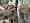 Одеяло Trois Couronnes Royal Eiderdown 3545762