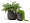 Кашпо TREEZ Effectory Beton Design-Чаша Тёмно-серый бетон в-35 см, д-32 см 2879401