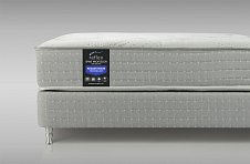 Reflex Spine Professor H3