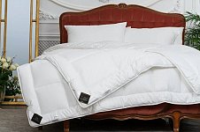 Plapuma trois couronnes revival omnibody