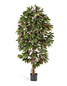 Товар Капенсия 180 см 2/2 добавлен в корзину