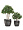 Кашпо TREEZ Effectory Wow Конус-Чаша Стальное серебро с рельефом в-28 см, д-30 см 2880285